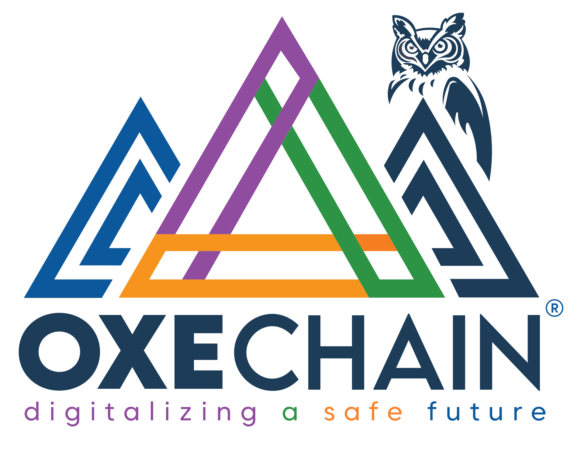 OXEchain Logo Placeholder